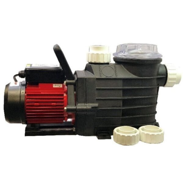 Bad Boy Alpha Dual Speed Pool Pump